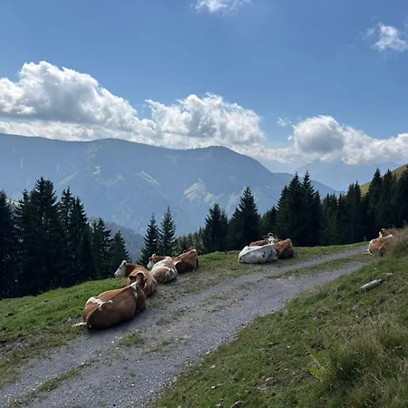 Pointschneiderhof Appartamento *